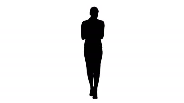 Silhouette Belle jeune femme d'affaires montrant de l'argent sur la came. — Video