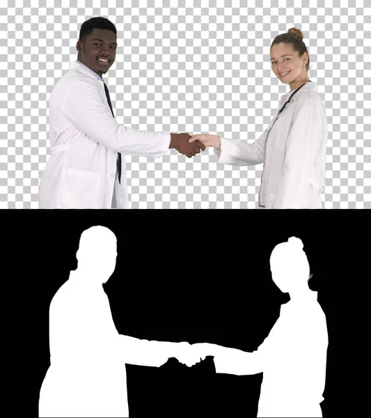 Doctors shaking hands and posing to camera, Alpha Channel — Stock Photo, Image