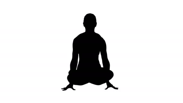 Silhouet Tolasana of schaal Pose. Mooie vrouw doen Yoga arm lift houding zitten. — Stockvideo