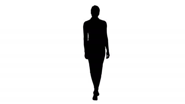 Sylwetka piękna seksowna brunetka kobieta business office styl mody ubrania w chodzenie i uśmiecha się do kamery. — Wideo stockowe