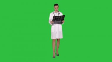X-ışını Radyografik görüntü, tomografi, Mr Yeşil ekranda Chroma Key arıyorsunuz doktor erkek beyaz stetoskop ile.