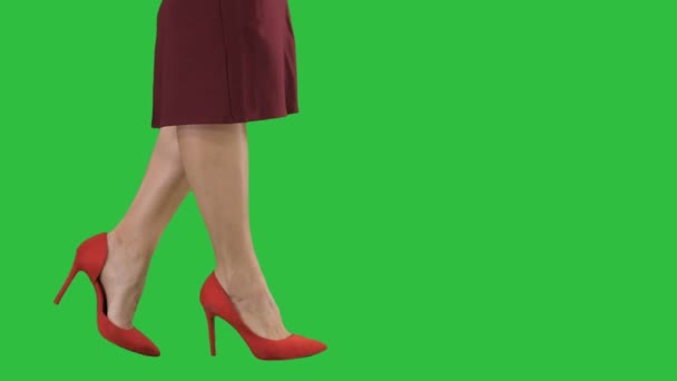 De benen van de sexy vrouw in rode hakken lopen Business dame op een groen scherm, Chromakey. — Stockvideo