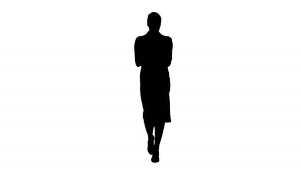 Silhouette Serious looking businesswoman with euros counting them. — Stock Video