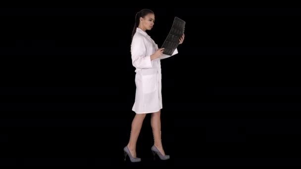 Pessoal de saúde da mulher intelectual com labcoat branco, a olhar para a imagem radiográfica de raios X, tomografia computadorizada, ressonância magnética, Canal Alpha — Vídeo de Stock