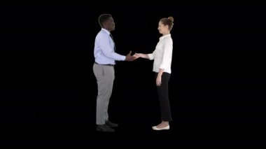 Profesyonel iş adamlarının el sıkışması, Alpha Channel