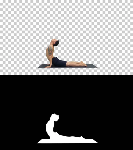 Flexible strong yoga man in Upward and Downward Facing Dog Urdhva Mukha Svanasana, Alpha Channel