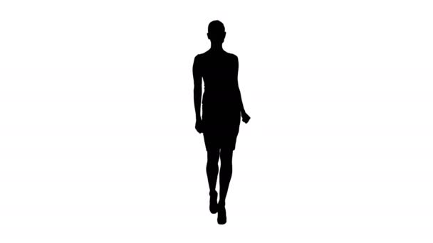 Silhouette Mujer mostrando y presentando espacio de copia en vestido de negocios . — Vídeos de Stock