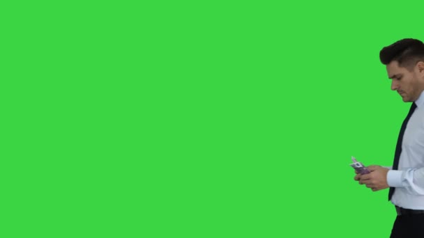 Businessman is counting money on a Green Screen, Chroma Key. — Stock Video