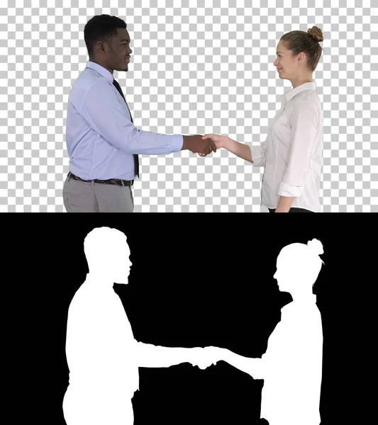 Professional business people handshaking, Alpha Channel