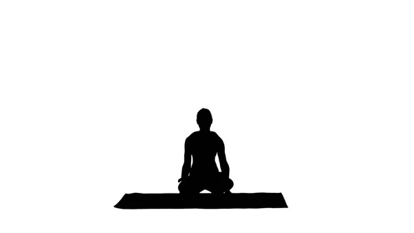 Silhouette Young sporty woman practicing yoga, doing Scale exercise, Tolasana pose. — Stock Photo, Image