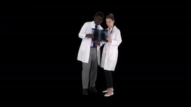 Doctora joven y médica afroamericana mirando la imagen de rayos X de los pulmones, Alpha Channel — Vídeos de Stock