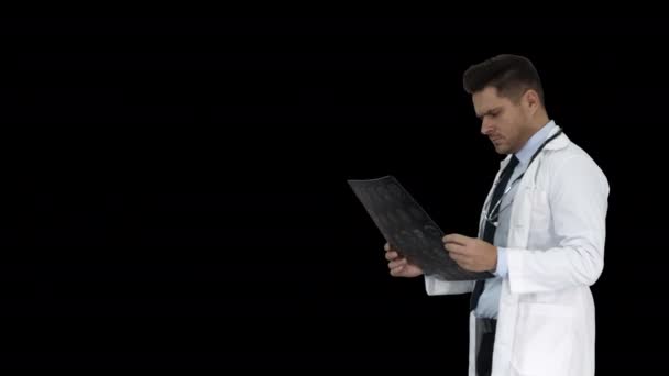 Mriスキャンを観察する神経外科医、疾患の進行を調べる、アルファチャンネル — ストック動画