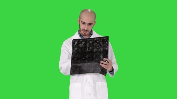 Médico revisando a varredura de raio-x do ombro enquanto caminha em uma tela verde, Chroma Key . — Vídeo de Stock