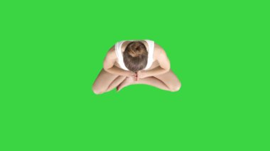 Yogi Yeşil Ekran, Chroma Key 'deki eğitimini tamamladı..