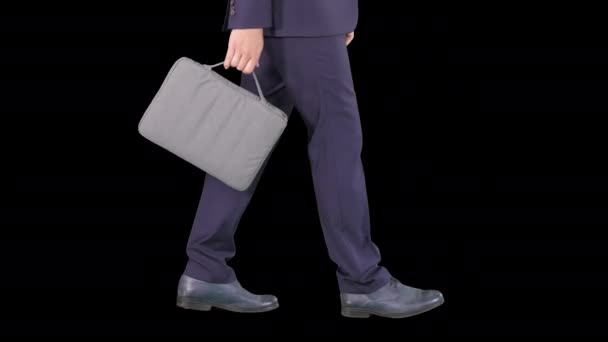 Stilig affärsman i en kostym promenader med en portfölj, alfakanal — Stockvideo