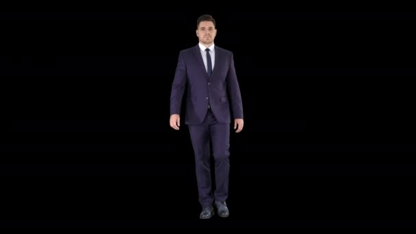 孤立したアルファチャンネルを歩くビジネスマン — ストック動画