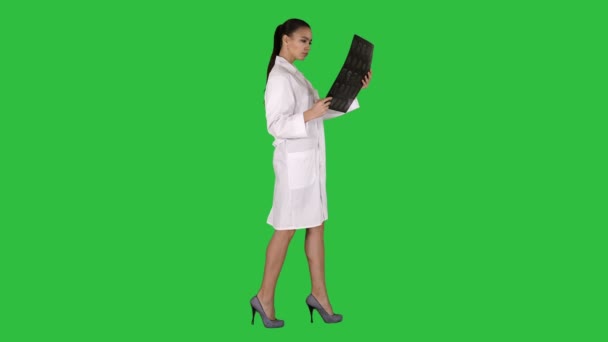 Mulher intelectual pessoal de saúde com labcoat branco, olhando para a imagem radiográfica de raios X, tomografia computadorizada, ressonância magnética em uma tela verde, Chroma Key . — Vídeo de Stock