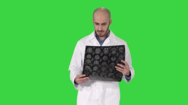 Arap hekim Yeşil Ekranda yürürken MR beyin taraması gözden, Chroma Key.
