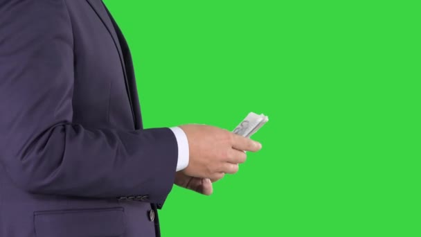 Geschäftsmann zählt Geld Euros auf einem grünen Bildschirm, Chroma-Schlüssel. — Stockvideo