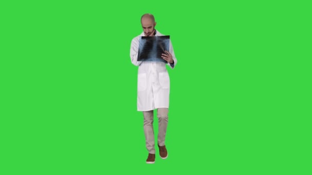 Médecin radiologue regardant radiographie marche sur un écran vert, Chroma Key . — Video