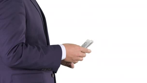 Businessman is counting money euros on white background. — Stock Video