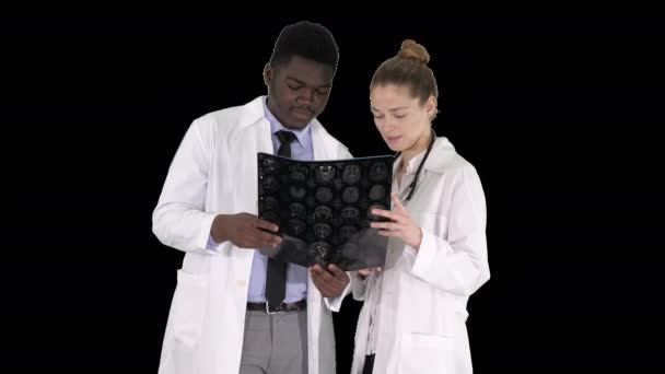 Серьёзно милая женщина доктор и афро-американский врач изучают рентген мозга, альфа-канал — стоковое видео
