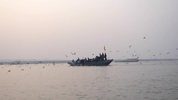 Gaivotas voando sobre barco de madeira com turistas . — Vídeo de Stock