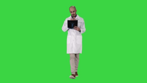 Médico examinando una radiografía pulmonar mientras camina en una pantalla verde, Chroma Key . — Vídeos de Stock