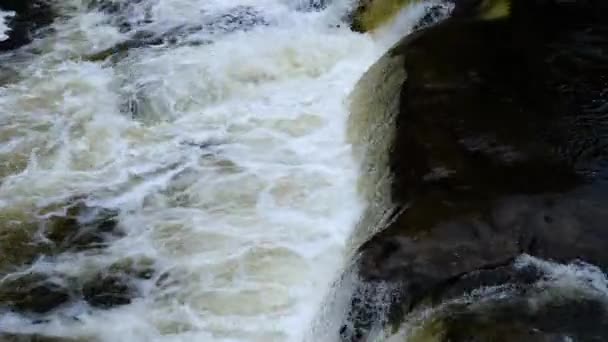 Ruscello d'acqua della cascata. — Video Stock