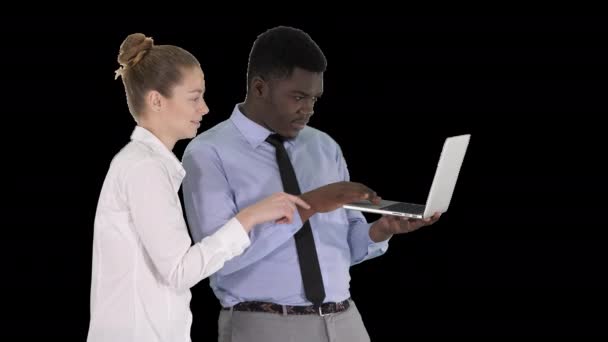 Afro american business adviser showing something on laptop screen talking to white businesswoman, Alpha Channel — Stock Video