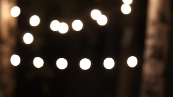 Nachtlampjes op de bomen. Achtergrond. — Stockvideo