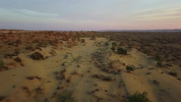 Indiska öknen. Natur, Utomhus, bakgrund. — Stockvideo