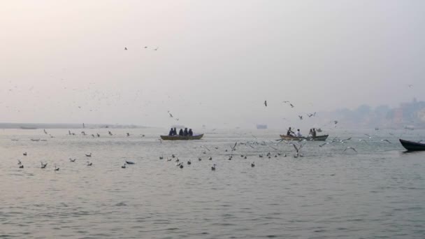 Las gaviotas empiezan a volar cerca de los barcos . — Vídeos de Stock