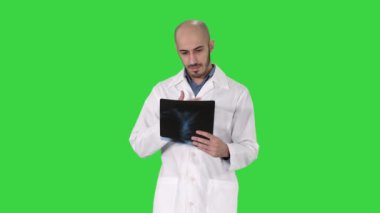 Doktor bir akciğer radyografi inceleyerek yeşil ekran üzerinde yürürken, Chroma anahtar.
