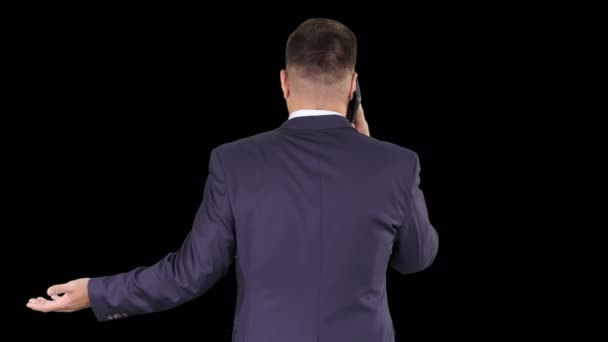 Akıllı telefonlu bir iş adamı, Alfa Kanalı 'ndan bir telefon görüşmesi yapıyor. — Stok video