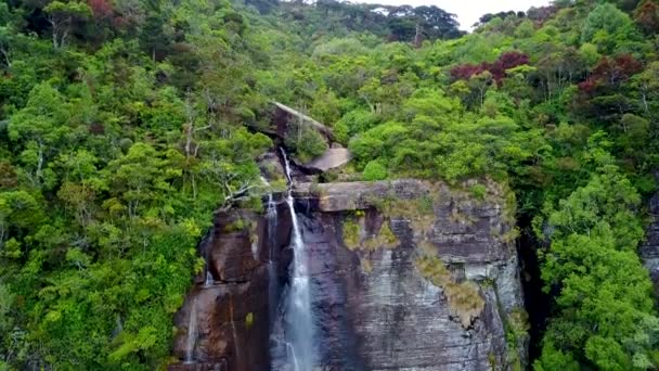 Wodospad na Sri Lance. Strzał z powietrza. — Wideo stockowe