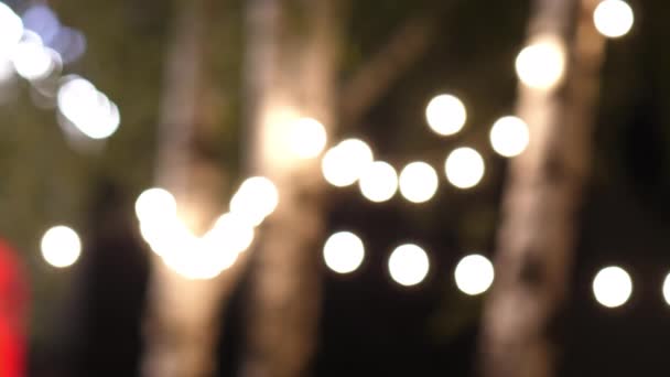 Luces borrosas en los árboles en un fondo del parque. — Vídeo de stock