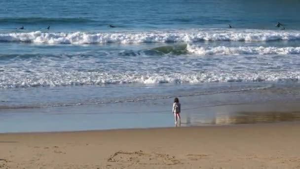 San Sebastian, Spagna - 30 dicembre 2017: Ragazzo che guarda i surfisti e l'oceano. — Video Stock