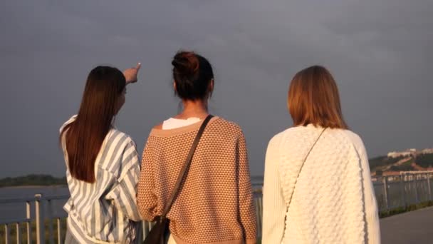 Sekelompok wanita muda berjalan dan mengobrol sepanjang promenade. — Stok Video