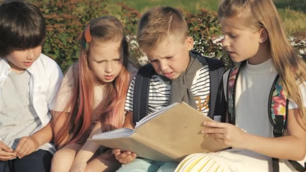 Leerlingen die door encyclopedie buitenshuis kijken. — Stockvideo