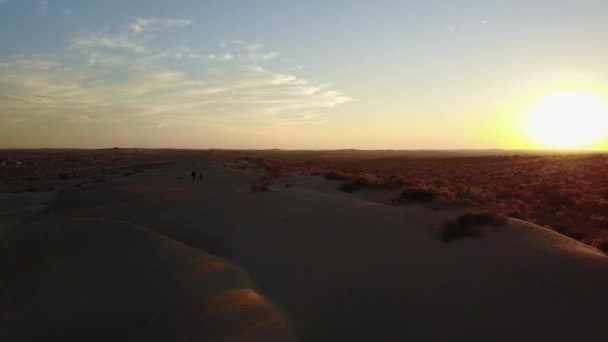 Tourists walking in the desert. India. — Stock Video