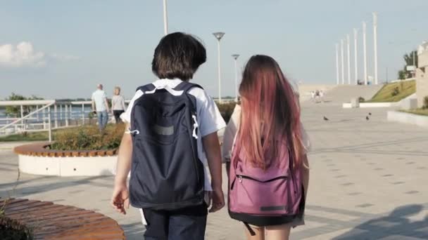 Двое одноклассников идут с рюкзаками. — стоковое видео