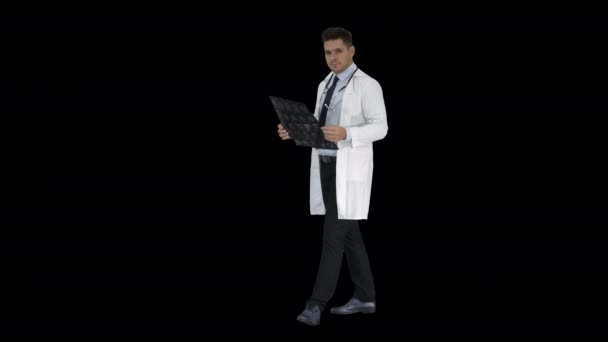Doctor diciendo los resultados de rayos X a la cámara, Alpha Channel — Vídeos de Stock