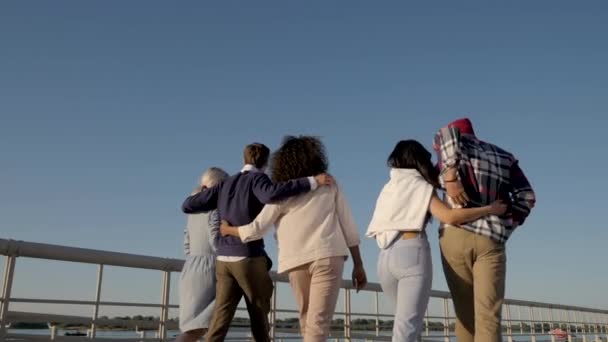 親友の概念 – 幸せな友人のグループが抱き合って歩く. — ストック動画