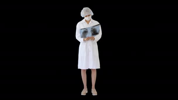 알파 채널 , 폐 엑스레이 를 보고 있는 여의사 — 비디오