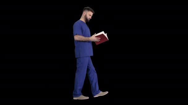 Doctor reading medical journal while walking, Alpha Channel — Stock Video