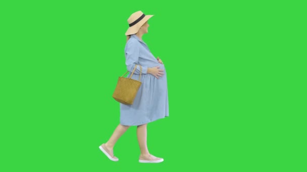 Atractiva mujer embarazada sonriendo y caminando en una pantalla verde, Chroma Key . — Vídeo de stock