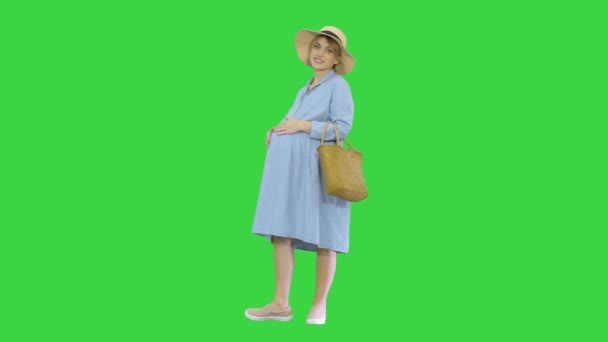 Mujer embarazada en verano de pie y tocando su vientre en una pantalla verde, Chroma Key. — Vídeos de Stock