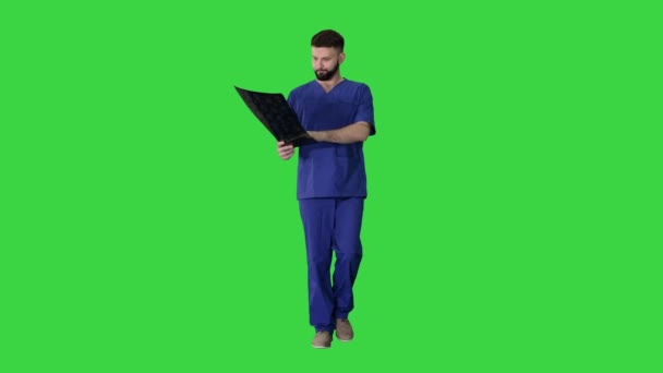 Chirurg untersucht MRI-Gehirnscan beim Gehen auf einem Green Screen, Chroma Key. — Stockvideo