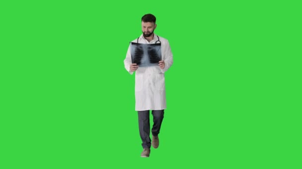 Tıbbi doktor yürüyor ve yeşil ekrandaki akciğerlerin röntgen fotoğrafına bakıyor, Chroma Key. — Stok video